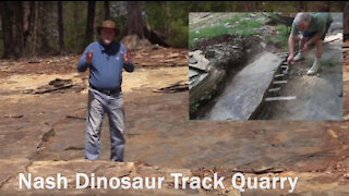 Dinosaur Tracks - Evidence For a Global Flood?