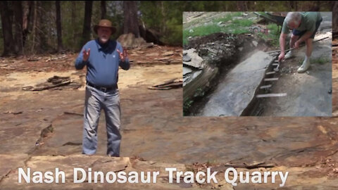 Dinosaur Tracks - Evidence For a Global Flood?