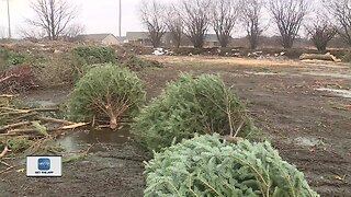 Taking down the tree after Christmas