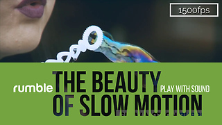 This stunning compilation captures the beauty of slow motion!