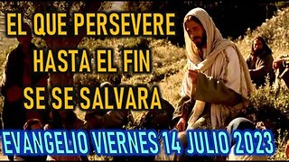 EL EVANGELIO DEL DÍA - EL QUE PERSEVERE HASTA EL FIN SE SALVARA -VIERNES 14 JULIO 2023