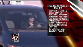 Under 18 phone ban bill