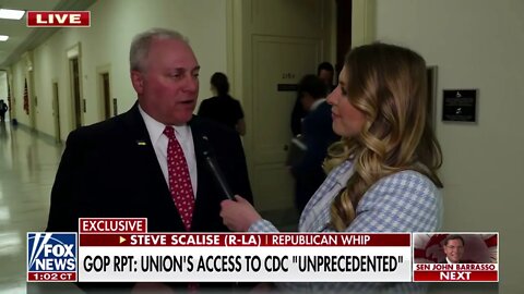 Fox News | House Republican Whip Steve Scalise on America Reports
