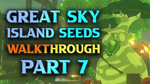 All Korok Seeds Great Sky Island - Zelda Tears Of The Kingdom Walkthrough Part 8 Improve Inventory