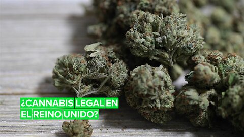 El cannabis puede ser legal en Reino Unido