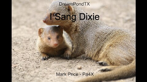 DreamPondTX/Mark Price - He Sang Dixie (Pa4X at the Pond, PP)