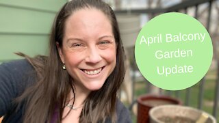 April Balcony Garden Update 2021