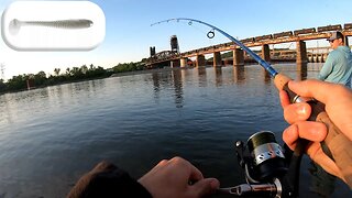 River Fishing for Bass