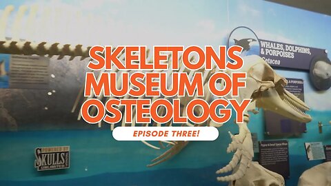Dr. Whitley visits the Museum of Osteology: EPISODE THREE