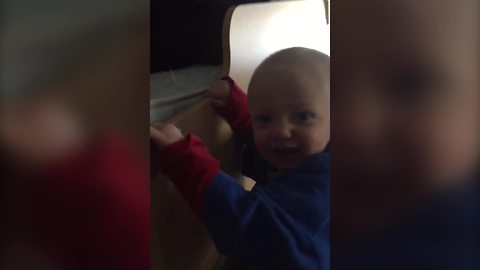 Tot Boy Climbs The Ladder On A Bunk Bed By Himself