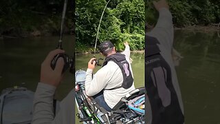 INSANE Topwater Creek Fishing Blowup!