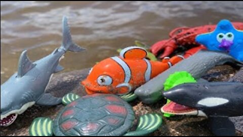 🔴 Playing with Sea Animal Toys at the Shore 😄