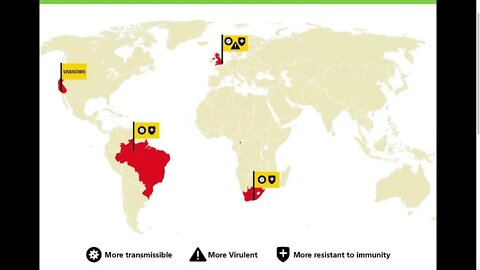 Infographic: SARS-COV-2 and its Noteworthy Variants - written by Peter Zeihan