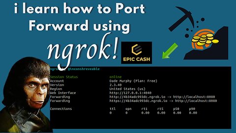 ignorant explorer just Learn how to port forward epic cash using Ngrok!