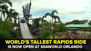 World's tallest rapids ride 'Infinity Falls' opens at SeaWorld Orlando | Taste and See Tampa Bay