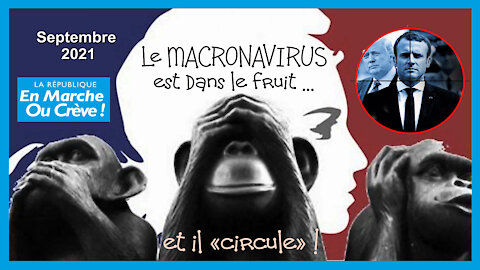 Le "MACRONAVIRUS" est dans le fruit et il circule... ! (Parodie réaliste) Hd 720