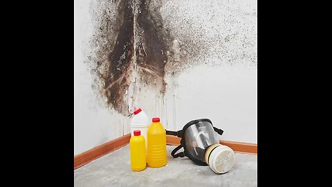 Mold Removal Denver - ARC Restoration