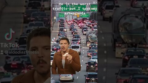 Me in the worst traffic but I took my ashwaganda #ashwagandha #humor #pedropascal #traffic