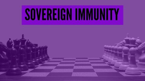 Excerpt: "Sovereign Immunity"