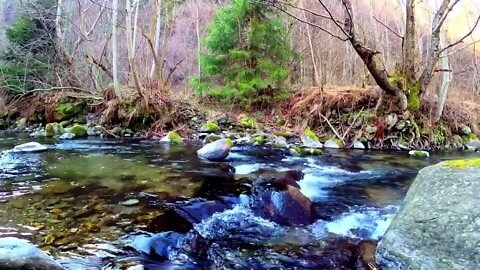 Relaxing River Sounds Peaceful Forest River for sleep, study, meditation