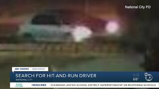 Search on for driver in deadly National City hit-and-run
