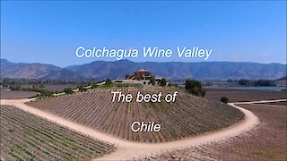 Colchagua Wine Valley in Chile