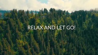 The Majestic Forest: Nature Sounds Guided Meditation for Stress Relief