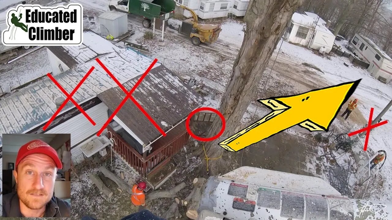 Felling a Peg in a Tight Spot with 2:1 Mechanical Advantage | Arborist ...