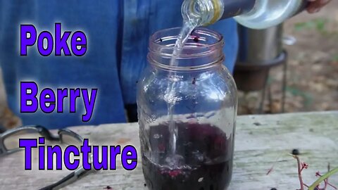 Poke Berry Tincture