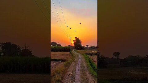 village life | Morning vibes #shorts #villagelife #shortsfeed