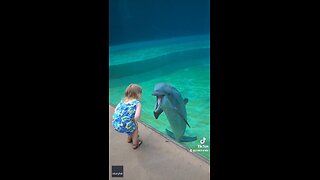 Little girl talking with a dolphin 🐬