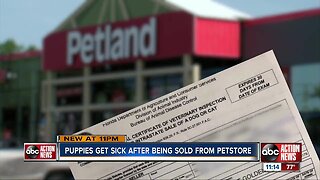 Petland vows action after complaints of delayed or denied vet bill payments for sick puppies