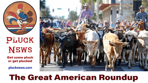 The Great American Roundup