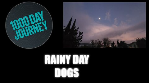 1000 Day Journey 0188 Rainy Day Dogs
