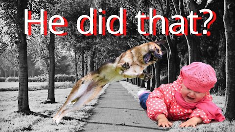 What this dog did to the baby was unbelievable!