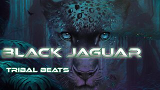 [ Black Jaguar ] - Tribal Beats - Power Animals - Primal Ambient - Shamanic Music