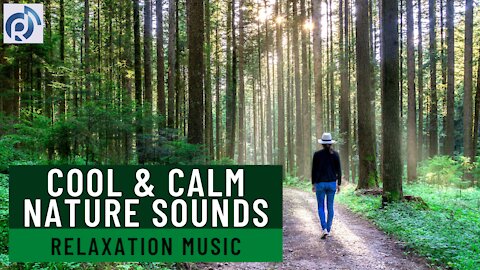 Cool & Calm Nature Sounds | Music Therapy for Stress Relief | Relaxation Music