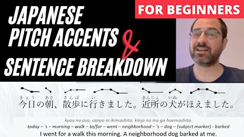 Japanese Pitch Accents + Sentence Breakdown for Beginners