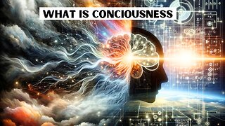 What is Consciousness - The Split Brain Experiment