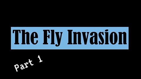 The Fly Invasion (Part 1?)