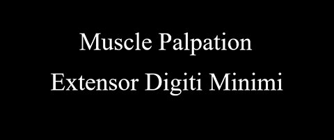 Muscle Palpation - Extensor Digiti Minimi