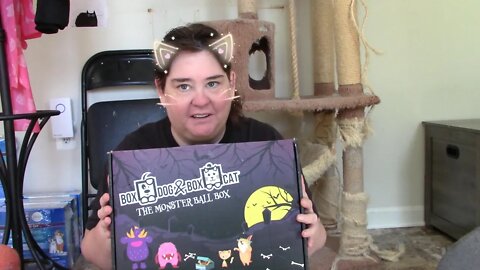 BoxCat Cat Box Unboxing October 2022 🎃