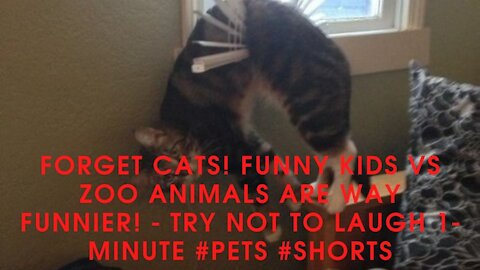 FORGET CATS! Funny KIDS vs ZOO ANIMALS are WAY FUNNIER! - TRY NOT TO LAUGH 1-Minute #Pets #Shorts