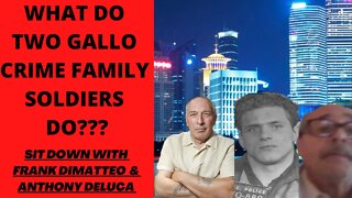 Sit Down- Frank DiMatteo & Anthony Deluca Two Gallo Soldiers (Joey Gallo, Joe Colombo, Mob Wars)