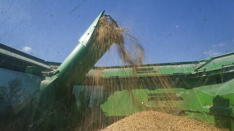 China Eases Tariffs On U.S. Soybean Shipments
