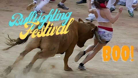 Most awesome bullfighting festival | Best funny videos 2024 funny crazy bull fails