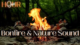 ONE HOUR | Fireside Reverie: Embracing Nature's Melodies by the Bonfire