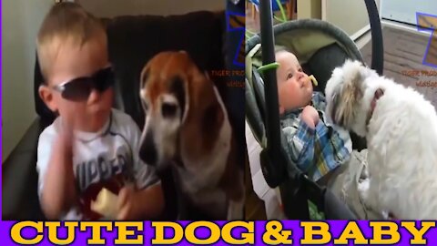 Funny Videos For Kids - Funny dogs annoying babies - Cute dog & baby compilation-1minutes 10seconds