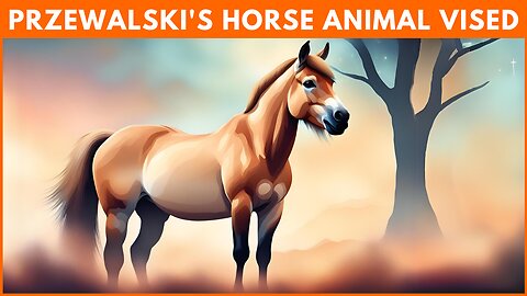 Unveiling the Mystery of Przewalski's Horse | The Last Wild Stallions 🐎 | Animal Vised