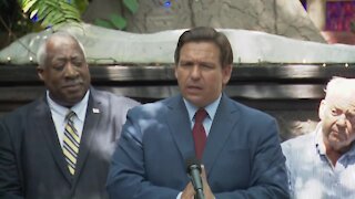 'All she does is emote on social media': Gov. DeSantis attacks Nikki Fried